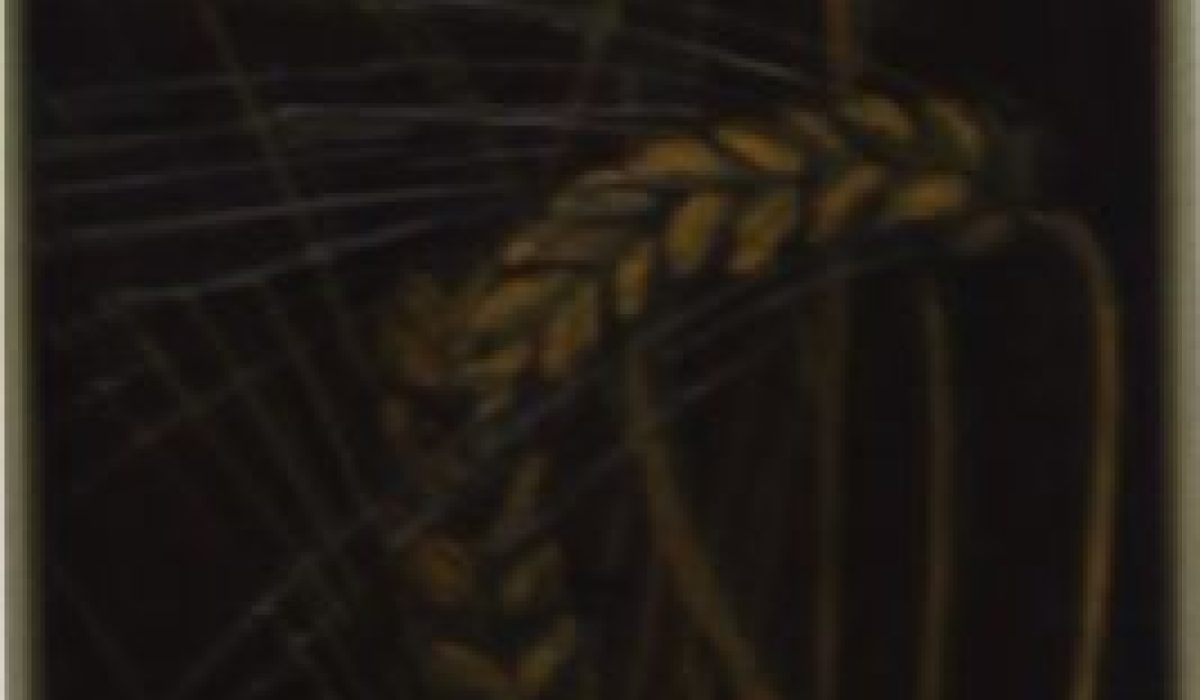 159