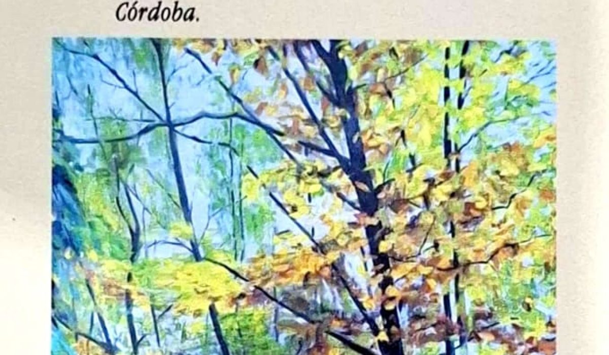 WhatsApp Image 2024-09-06 at 00.47.54